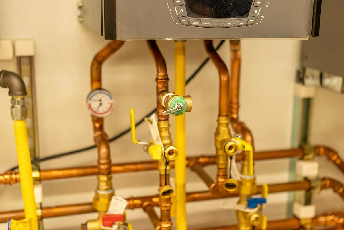 Licensed technician providing Sump Pump Repair for a homeowner in Abbeville